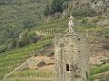 Vineyards near Tournon-sur-Rhône P1140156